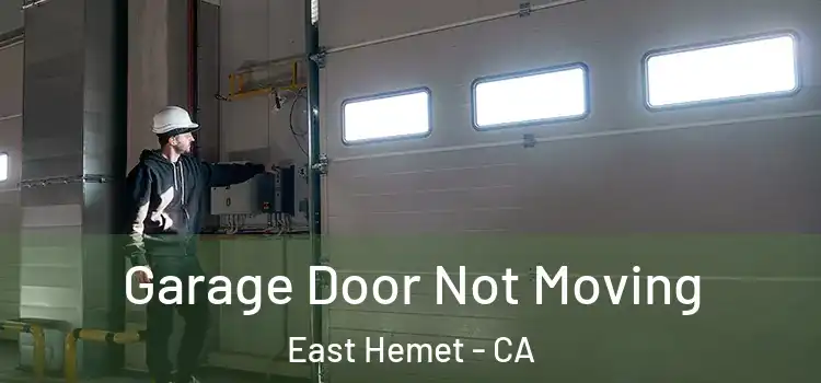  Garage Door Not Moving East Hemet - CA